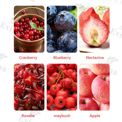 Thé Yoni Detox 100% naturel et fort avec du canneberge 24 mois